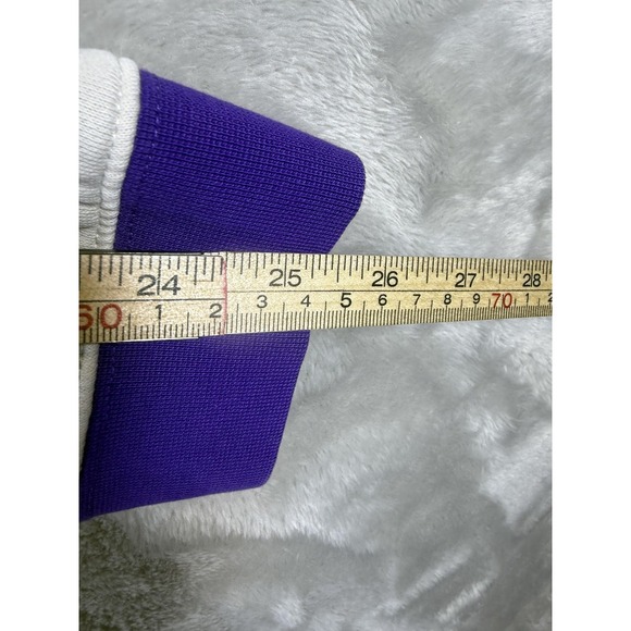 Tampa Bay Devil Rays Sweatshirt Mens XL Purple MLB Baseball Nike 90s - Picture 7 of 7